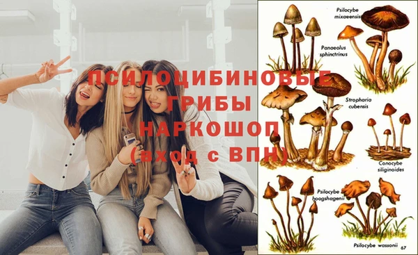 гашишное масло Новокубанск