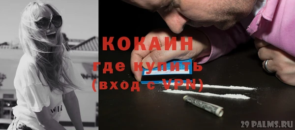 хмурый Новозыбков