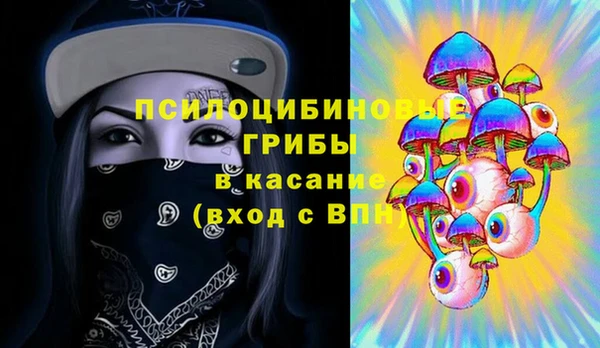 хмурый Новозыбков