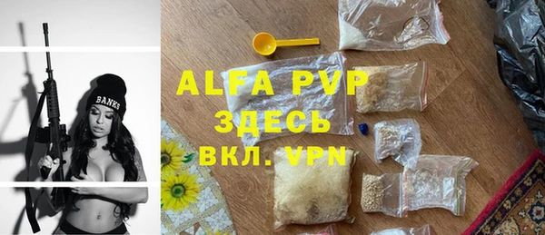 хмурый Новозыбков
