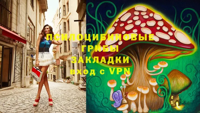 Псилоцибиновые грибы Psilocybine cubensis  Полысаево 