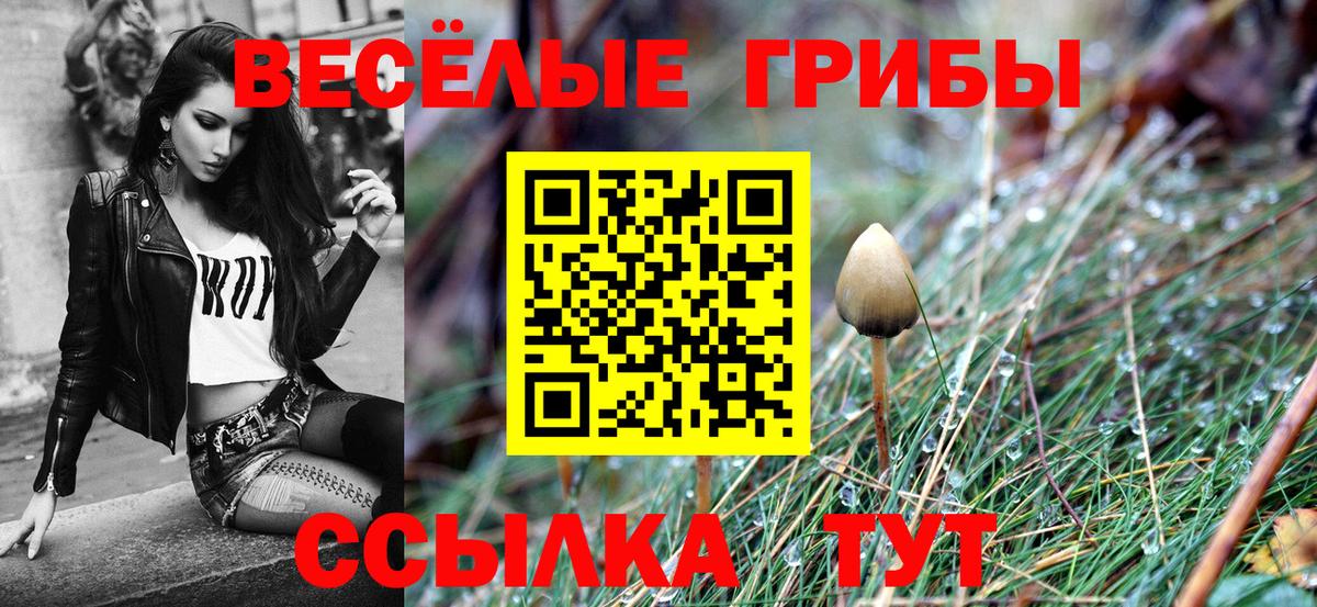 Галлюциногенные грибы Psilocybe  Полысаево 